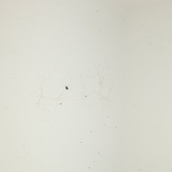 Image 1 of Specchio antico in legno effetto bambù stile Chinoiserie 63x52cm