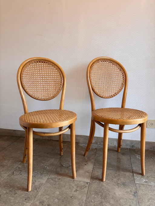 Zpm Radomsko Bentwood Chairs 