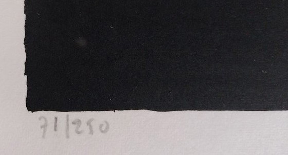 Image 1 of Rob Bruyninckx - 'Trees' - framed screenprint