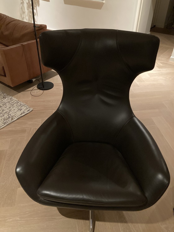 Image 1 of Leolux caruzzo