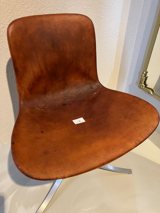 Image 1 of Vintage chairs PK9 PK 9 Poul Kjærholm Kjaerholm from EKC 8 pieces