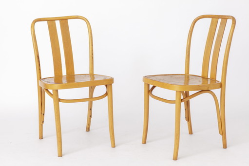 2 sillas vintage de IKEA Lena de Radomsko, madera curvada, años 70