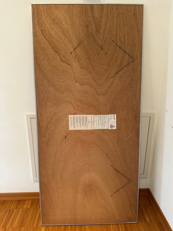Image 1 of Deknudt spiegel Meester Spiegelmakers 69 X 147 Cm