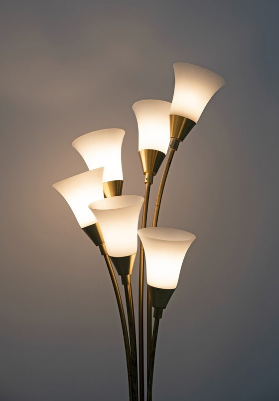 Image 1 of Lampada da terra italiana di metà secolo in vetro opalino e ottone dorato a tulipano, anni '60