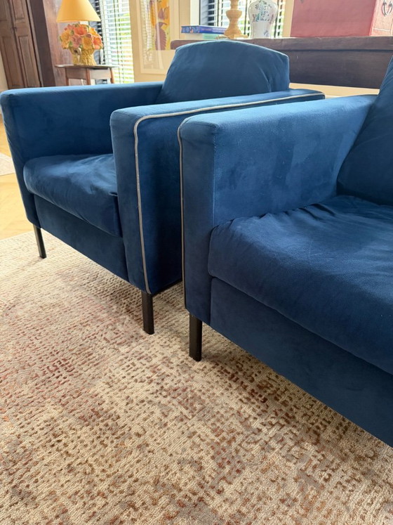 Poltrona Topform in velluto blu, Poltrone, Legno, Modern (foto 2 di 7)