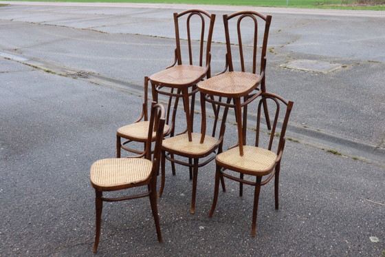 Image 1 of Sedie da bistrot serie x6 n. 56 di Thonet