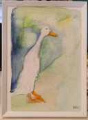 Canard coureur "Wiesje" et Klaartje