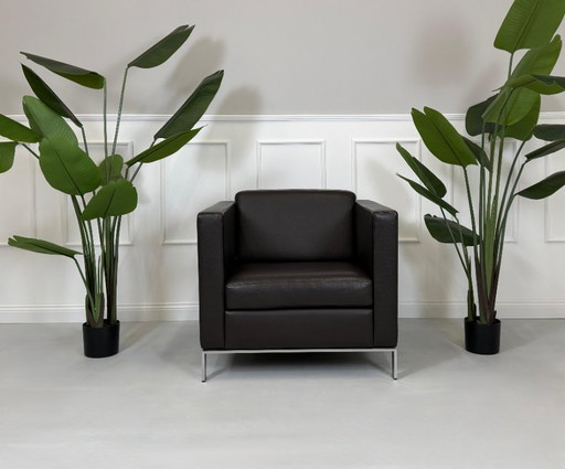 Poltrona Walter Knoll Foster 500 Design Pelle Marrone