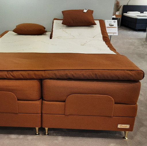 Ecolife Beds Agave box spring - 180x210 regolabile elettricamente