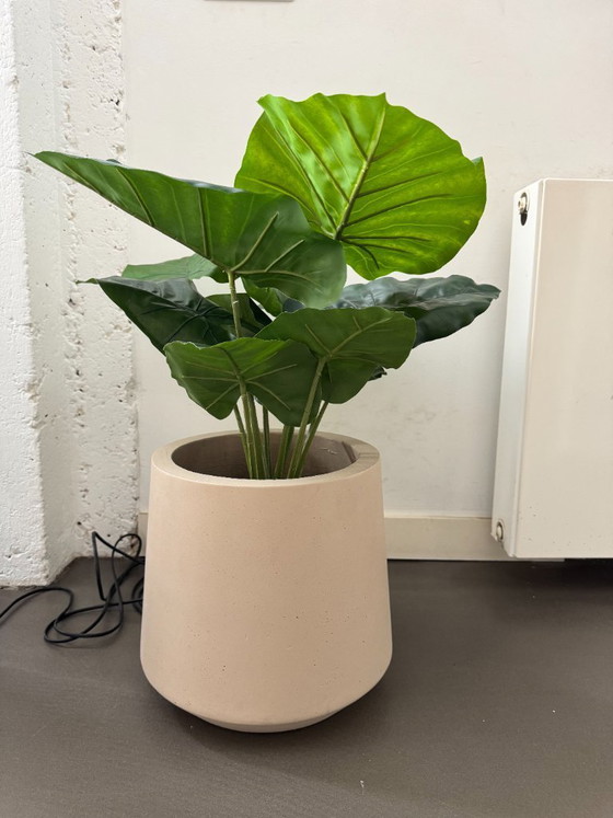 Image 1 of Pot de fleurs Calun Kave Home.