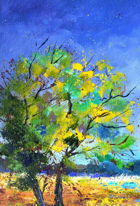 Image 1 of paysage d'été