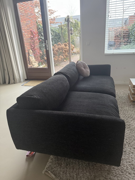 2.5-Zits Bolia bank type Lomi. 