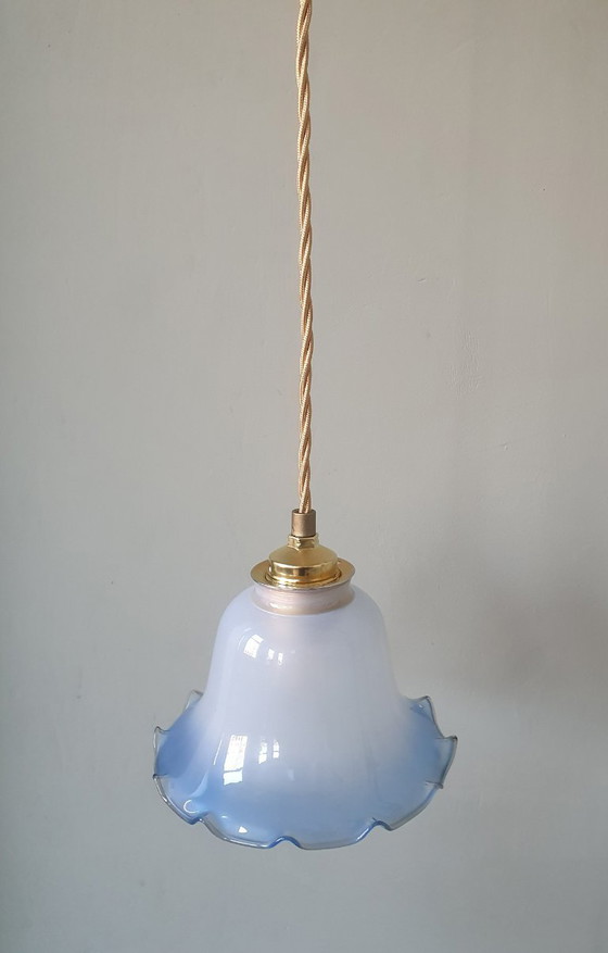 Image 1 of Vintage frosted glass pendant lamp in floral shape.