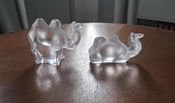 Image 1 of Lalique Kamelen