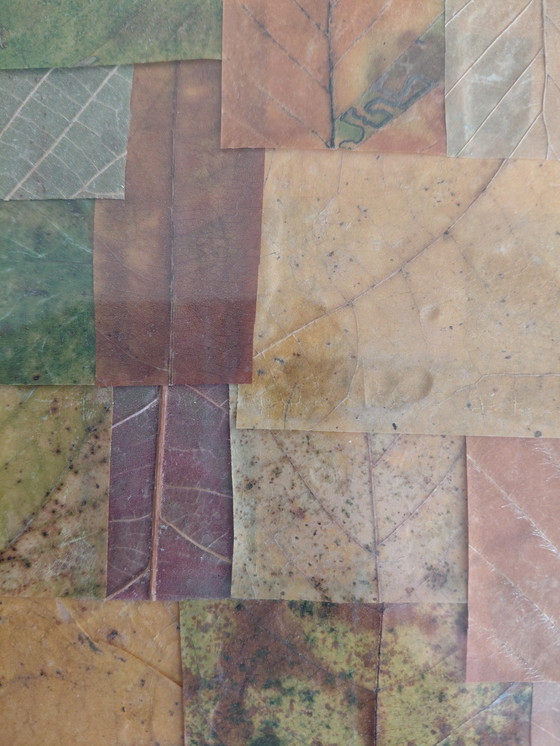 Image 1 of "Leaves from the Earth" Gallery Suncorner