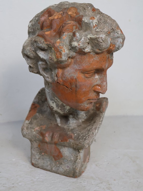 Busto in terracotta patinata (stile greco) – Sculture, Other (photo 3 of 5)