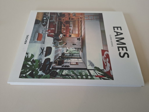 Ray & Charles Eames book by Gloria Koenig