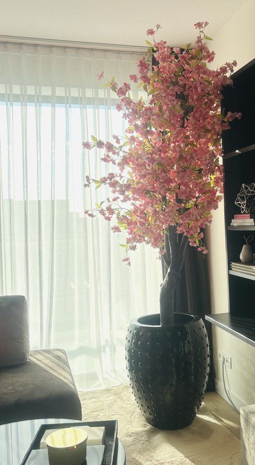 Laos Emperor XXL Vaas Met Bloesemboom