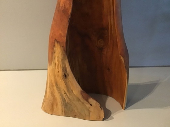 Image 1 of Wooden torso by Bart Ensing Nature Art