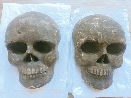 Ensemble de Memento Mori victoriens (1890-1900)