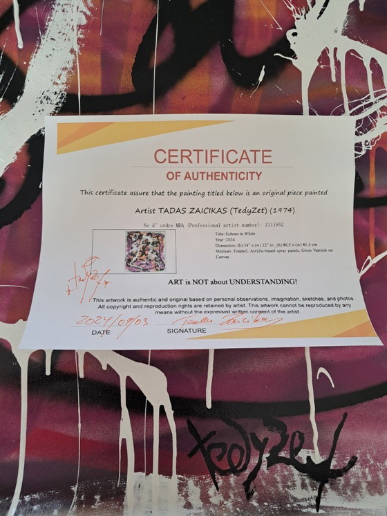 Image 1 of Tadas ZAICIKAS - Echoes in white - Toile d'artiste