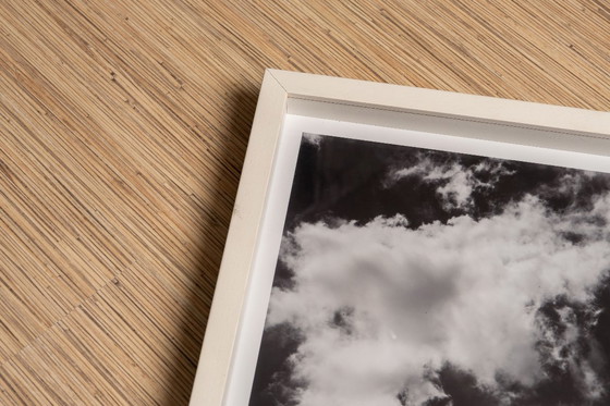 Image 1 of Virginia Landscape 2022