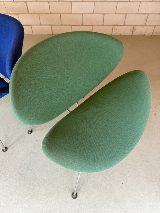 Image 1 of Fetta d'arancia Artifort (verde)