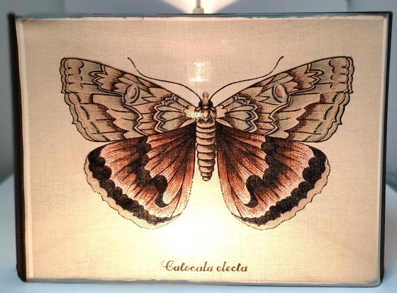 Image 1 of Suspension Papillons Trois Faces Tissu Années 90