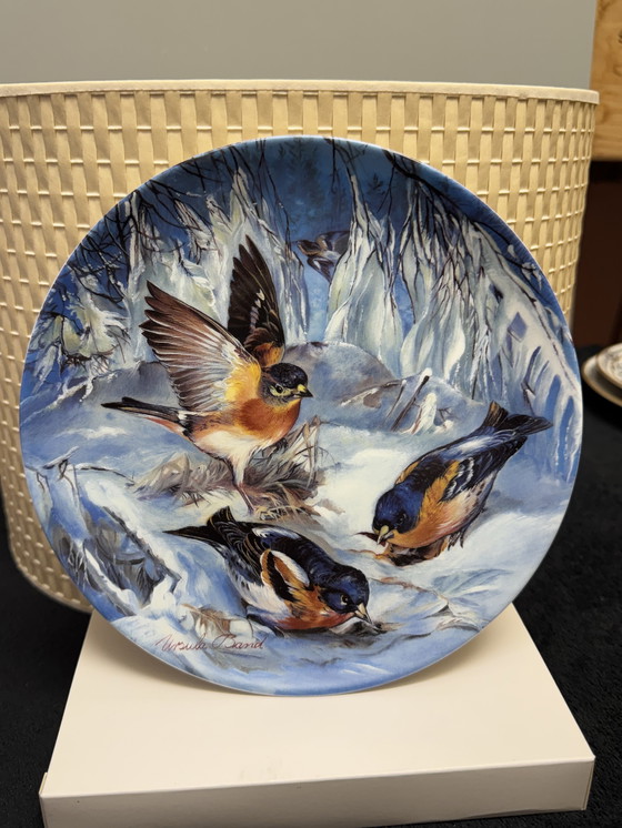 Image 1 of 🐦 „Vögel im Winter“ | Handbemalte Porzellanteller für Sammler | Hutschenreuther | Limitierte Auflage | Neuwertiger Zustand