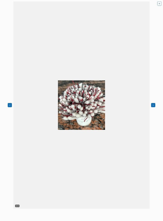 Rug with coffee table – Leolux, Rugs & carpets, Wool (photo 4 of 5)