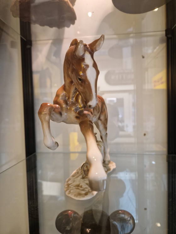 Image 1 of Hutschenreuther Kunstabteilung – Steigerend Paard | Porselein | ca. 1950–1970
