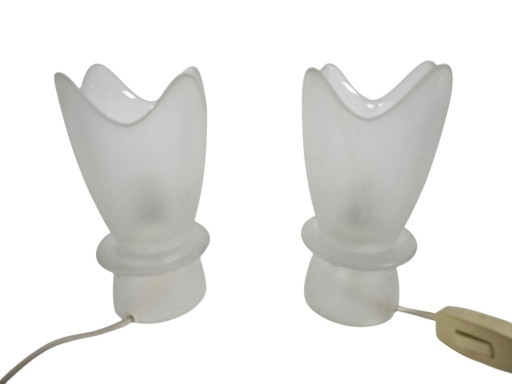 Tulpenleuchte – mattiertes Glas – 2 Tischlampen – Deutschland – 3. Viertel des 20. Jahrhunderts