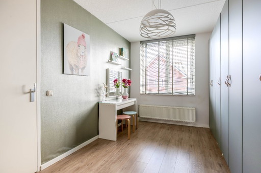 Lodes Kelly Dome - Blanc (50 cm)