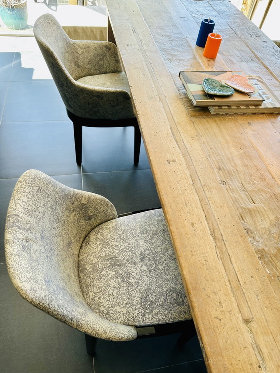 Molteni &C Chelsea Jean Paul Gaultier Chaises 5 Pièces – Chaises de salle à manger, Wood, Polyester (photo 9 of 15)