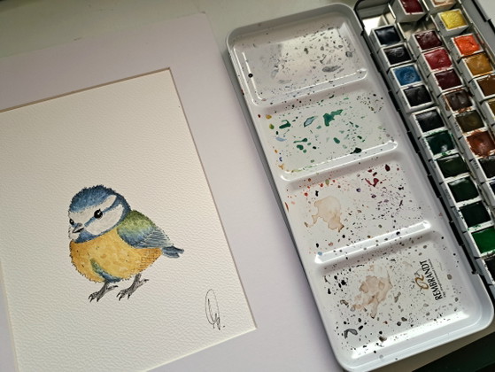Origineel Aquarel Pimpelmeesje | Inclusief Lijst Frame – Schilderijen & Tekeningen, Paper (photo 3 of 5)