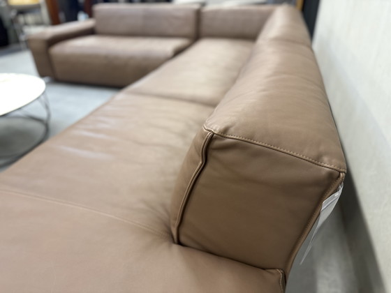 Image 1 of Divano angolare Rolf Benz Mio in pelle marrone 253x344