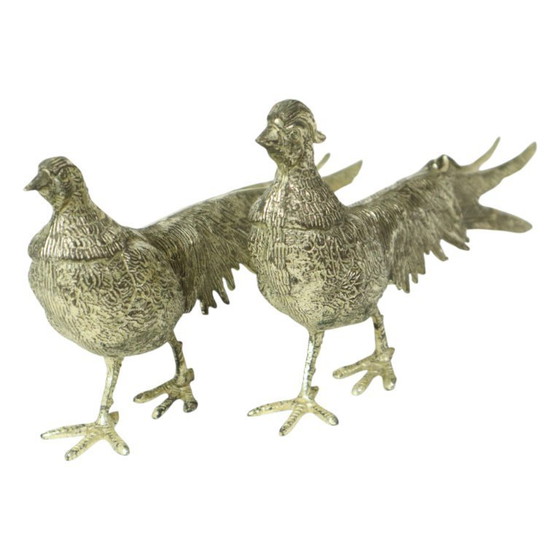 Image 1 of Images de faisans France