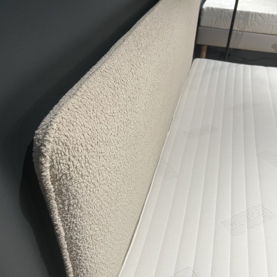 Image 1 of Prune Eastborn 180x200