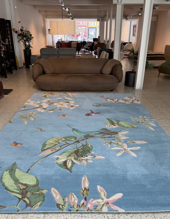 Image 1 of Tappeto Brink and Campman Wedgwood Hummingbird Blue