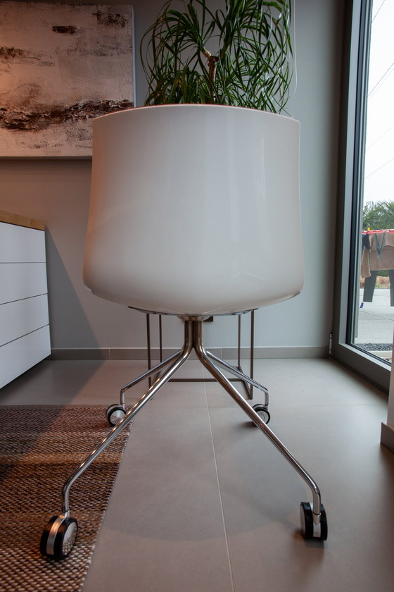 Image 1 of Set di 2 sedie Arper Catifa