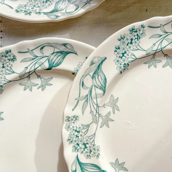 Set di 6 Piatti Piani Antichi in Ironstone "Lilac" - Longchamp, XIX Secolo – Stoviglie, Vintage (photo 7 of 9)