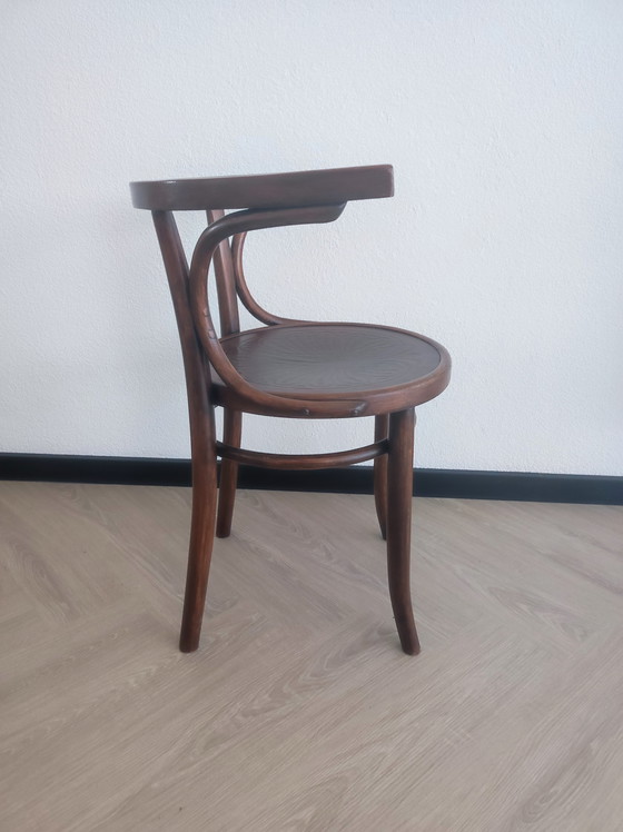 Image 1 of Chaise Thonet Cosmos classique