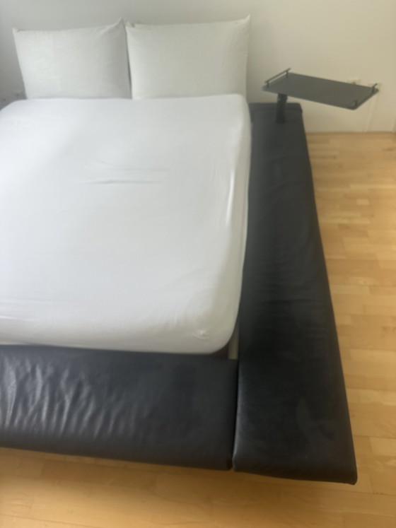 Cama Ligne Roset Peter Maly – Camas de matrimonio, Wood, Plastic (photo 4 of 6)