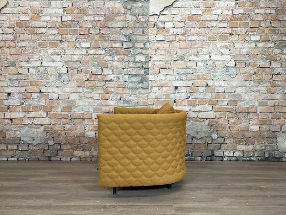 Image 1 of Ocre de la plaine nuageuse de Naughtone