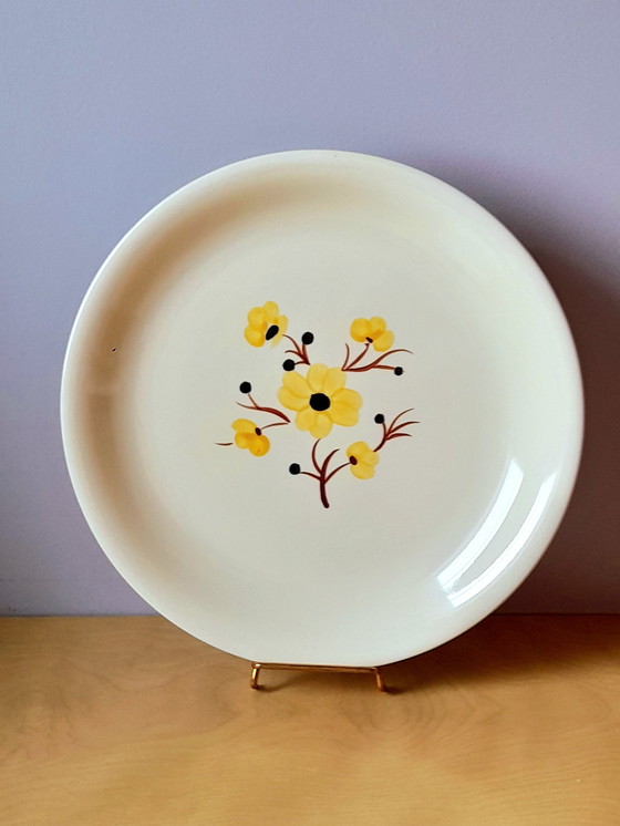 Image 1 of Earthenware dish from Salins, Catherine pattern, 30 cm.