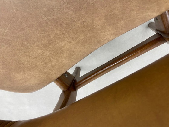 Image 1 of Louis van Teeffelen für das Wébé Penguin Restoration Project