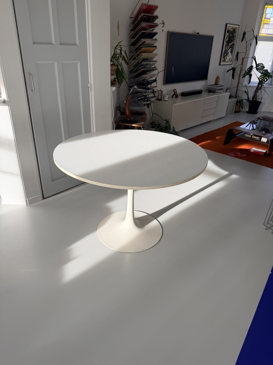 Arkana Tulip Maurice Burke - Mesa de comedor – Mesas de comedor, Metal, Wood (photo 10 of 10)