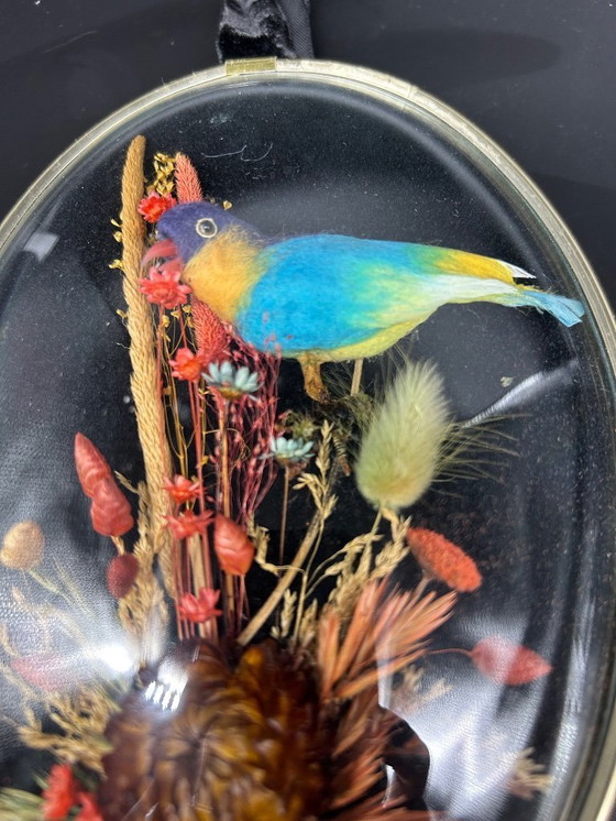 Image 1 of curved glass frame with bird decoration
