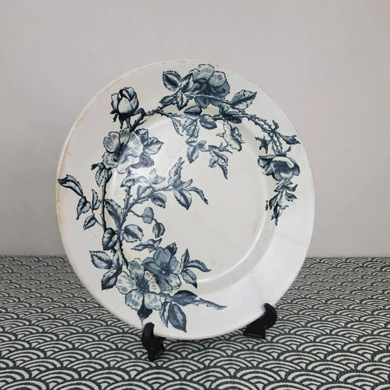 Piatto in maiolica Creil & Montereau, modello Rosa, XIX secolo – Stoviglie, Porcelain (photo 3 of 7)