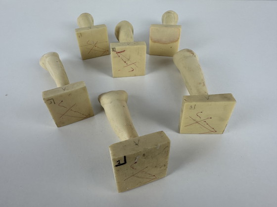 Image 1 of 6 modelli didattici vintage - odontoiatria